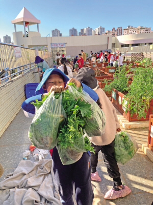 从“开心农场”到烹饪美食再到建食用菌种植基地昆明小学生劳动教育课越来越有特色(图1)