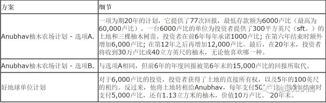 金年会app原来在印度种树就可以割韭菜(图7)