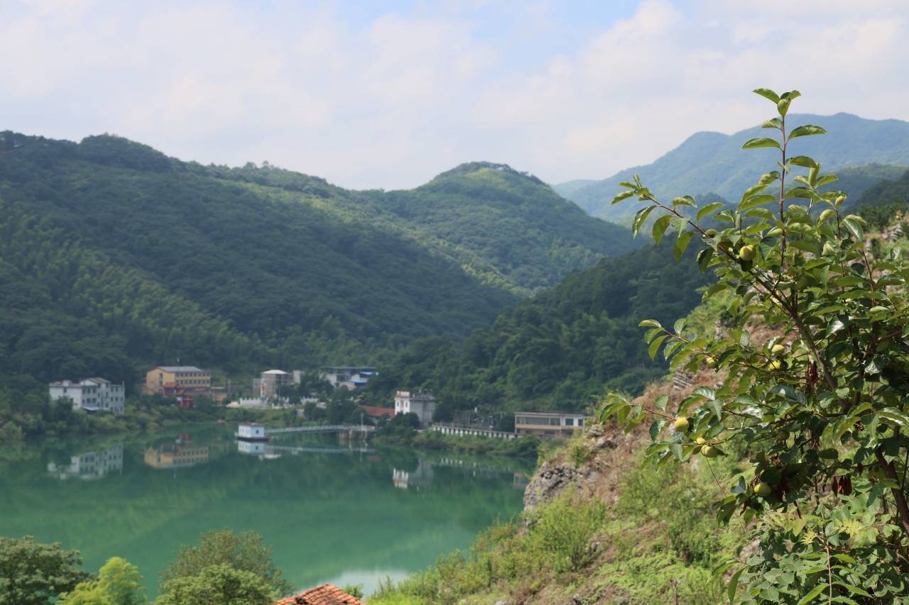 咸安：石头山上“致富果” 荒山走出旅游路(图1)