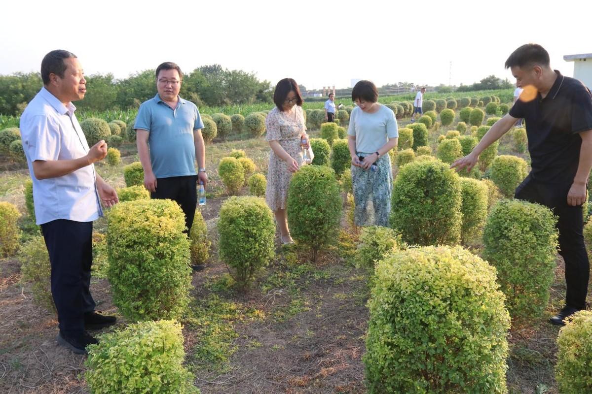 贺世彬：为苗木产业插上“科技翅膀”(图2)