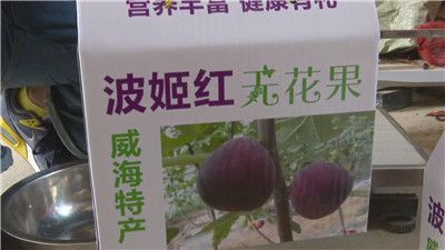 视频 大棚种起无花果一斤卖80元名副其实的致富果(图2)