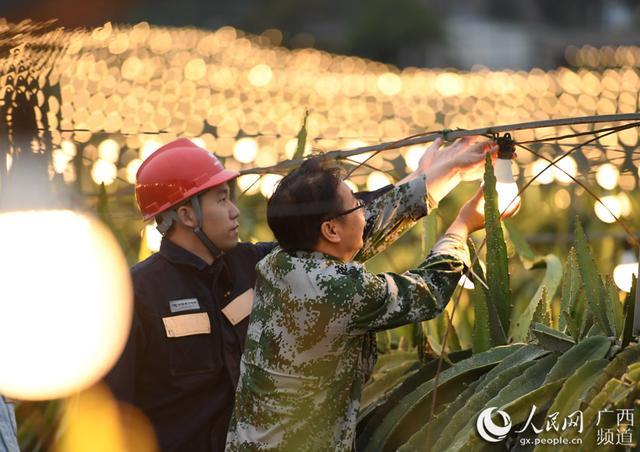 广西这个火龙果基地成“网红”千亩果园亮起42万盏“花灯”(图4)